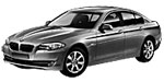 BMW F10 P0A49 Fault Code